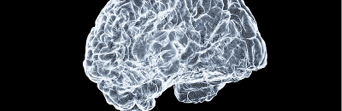 Genetic Engineering and Nanotechnology